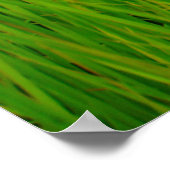 ノコギリの葉の軟膏 ポスター (角)