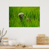 ノコギリの葉の軟膏 ポスター (キッチン)