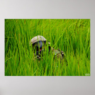 ノコギリの葉の軟膏 ポスター