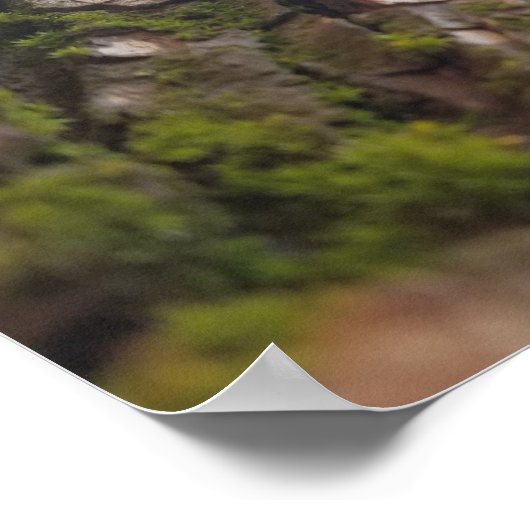 ノコギリソウ ポスター (角)