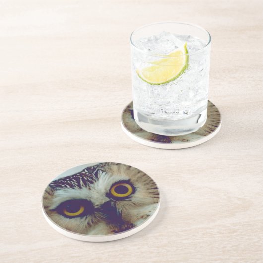 ノコハズク コースター (側面)