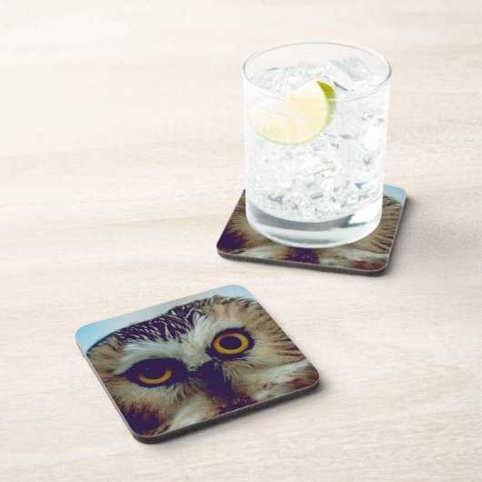 ノコハズク コースター (右側)