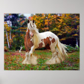 「ノコミス」 ポスター (正面)