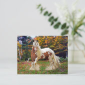 「ノコミス」 ポストカード (スタンド正面)