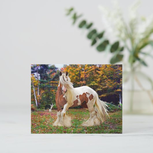 「ノコミス」 ポストカード (スタンド正面)