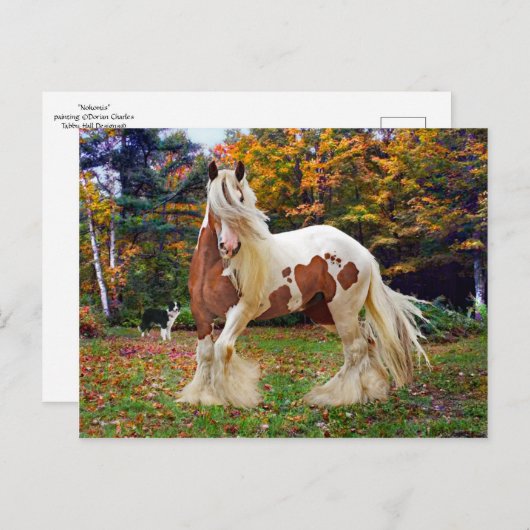 「ノコミス」 ポストカード (正面/裏面)