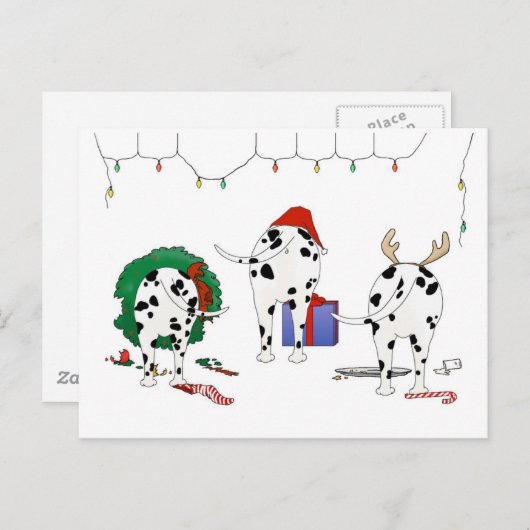 ノシンお尻Aダルマのクリスマス シーズンポストカード (正面/裏面)