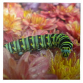 ノジー毛虫タイル五徳 タイル (正面)