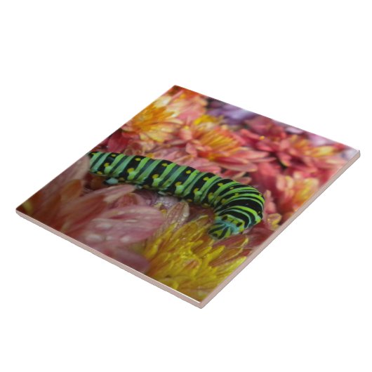 ノジー毛虫タイル五徳 タイル (側面)