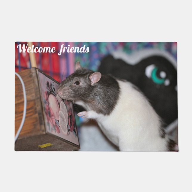 ノジー ドアマット (正面)