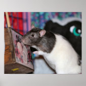 ノジー ポスター (正面)