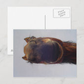 ノジー ポストカード (正面/裏面)