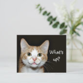 ノジー ポストカード (スタンド正面)