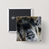 ノジー・ヤギが見上げる 缶バッジ (正面&裏面)