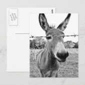 ノジー・ロバ ポストカード (正面/裏面)