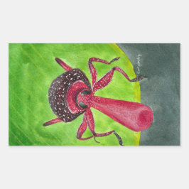 ノジー 長方形シール