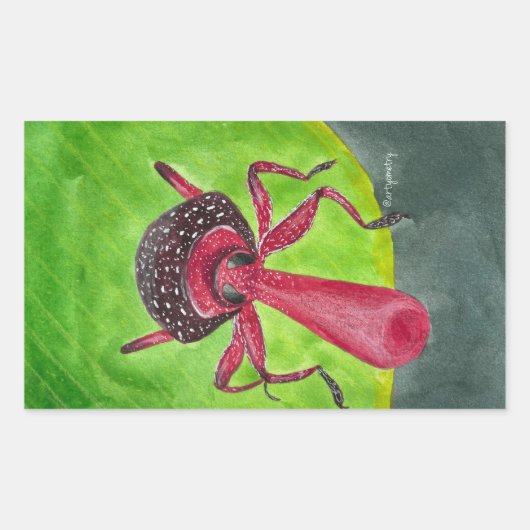 ノジー 長方形シール (正面)