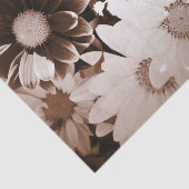 ノスタルジア西部カントリー野草夏デイジー 薄葉紙 (詳細)