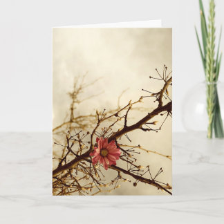 ノスタルジア カード