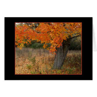 ノスタルジックなこはく色の秋カード