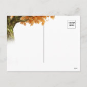 ノスタルジック感謝祭カボチャと七面鳥 シーズンポストカード (裏面)