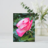 ノスタルジーバラノスタルジア ポストカード (スタンド正面)