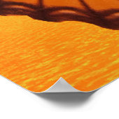 ノスフェラトゥドラキュラ変態 ポスター (角)