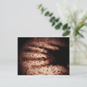 ノスフェラトゥ ポストカード (スタンド正面)