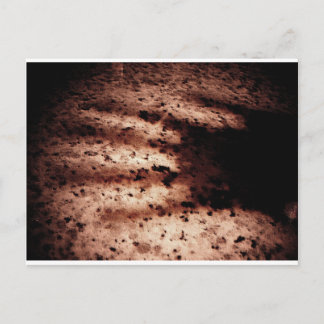 ノスフェラトゥ ポストカード