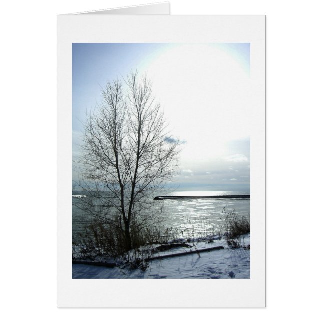 ノスフランスのノスが声を発する (正面)