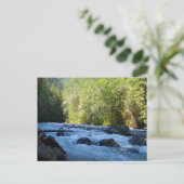 ノックサック川 ポストカード (スタンド正面)