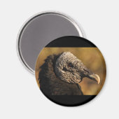 ノックス&クラニー マグネット (正面/裏面)