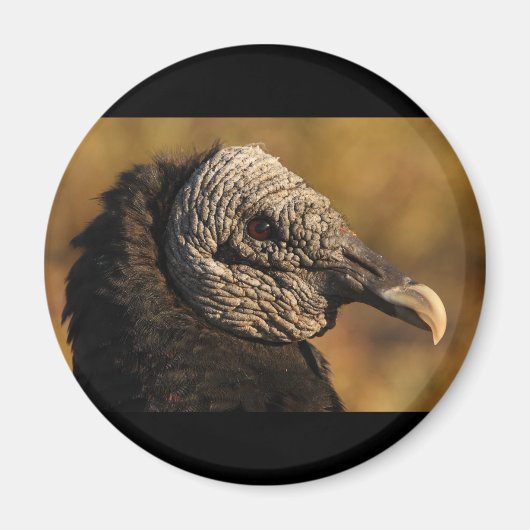 ノックス&クラニー マグネット (正面)