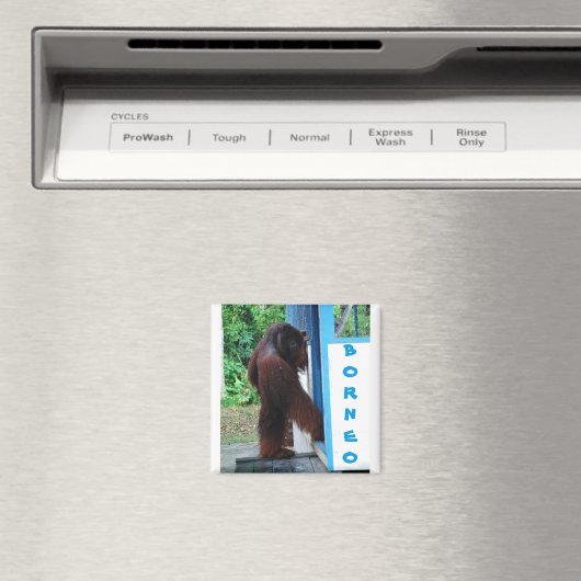 ノックノックノックネイバーフレンズボルネオ マグネット (インサイチュ (食洗機))