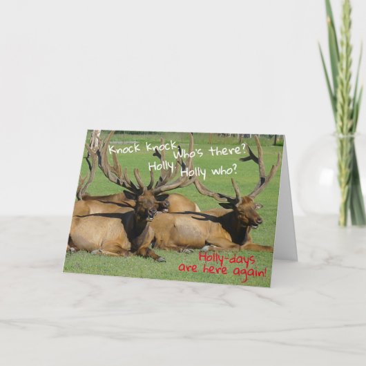 ノックノックホリデー - カード (正面)