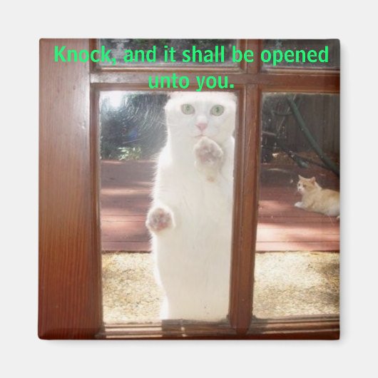 ノック、ノック。 マグネット (正面)