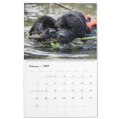 ノッタクマの水犬 カレンダー (2月 2027)