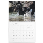 ノッタクマの水犬 カレンダー (1月 2027)