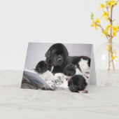 ノッタベアパピーグリーティングカード カード (黄色い花)