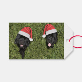 ノッタベアヘアリークリスマスギフトラベル ギフトタグ