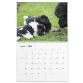 ノッタベアペークリングカレンダー カレンダー (3月 2026)