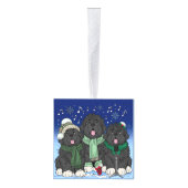 ノッタベアーニューファンドランズウィンターワンダーランド キューブオーナメント (右)