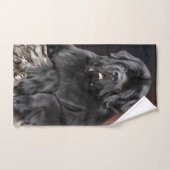 ノッタ・ベア・スタンプ・キング・ドルール・タオル ハンドタオル (ハンドタオル)