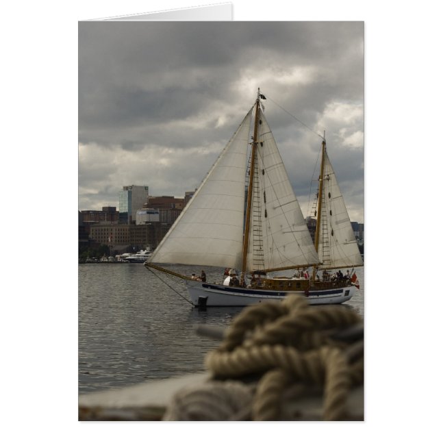 ノッティカルなセーリング (正面)