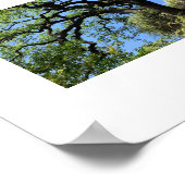 ノットカリフォルニアグリーンカラー写真 ポスター (角)