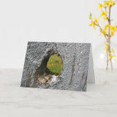 ノットホール カード (黄色い花)