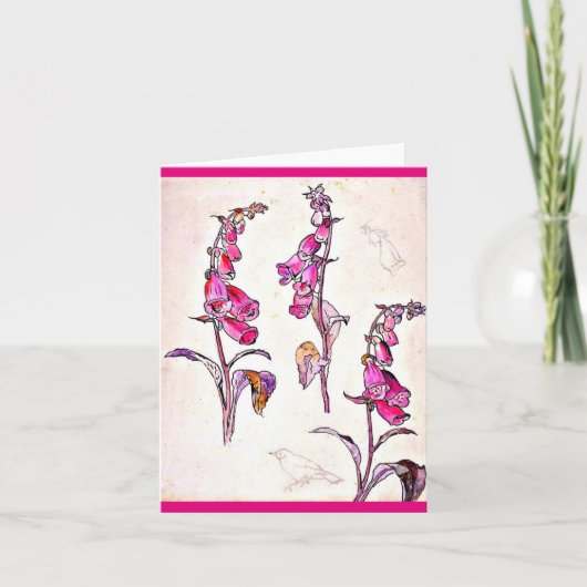 ノテカードヴィンテージイラストレーションビアトリックス陶工12 カード (正面)