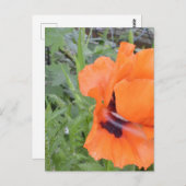 ノテカード ポストカード (正面/裏面)