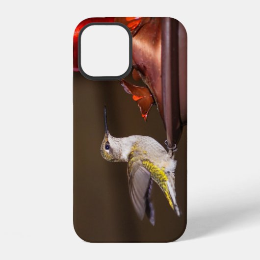 ノドアカハチドリ 女性 iPhone カーソン iPhoneケース (裏面)