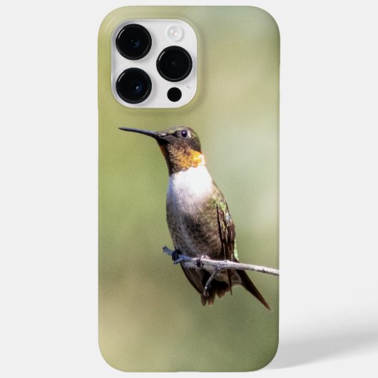 ノドアカハチドリ Case-Mate iPhoneケース (裏面)